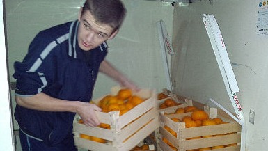 Donacija neretvanskih mandarina