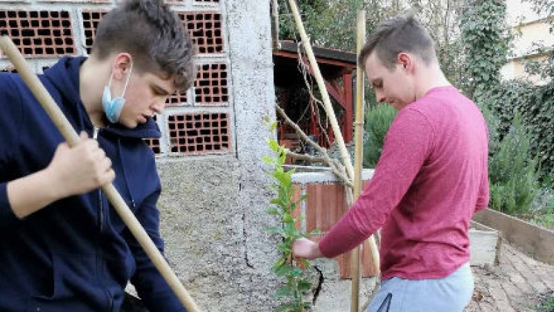 "Posadi drvo, ne budi panj"