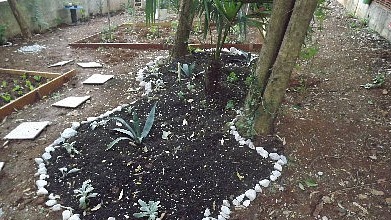 Uređenje domskog vrta