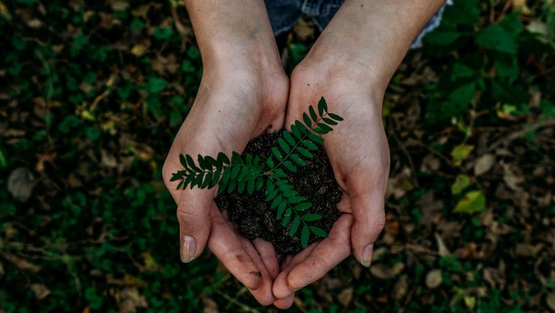 Rujan 2021.  - Nastavljamo s aktivnostima međunarodnog eTwinning projekta „Iz moje super kante“. 