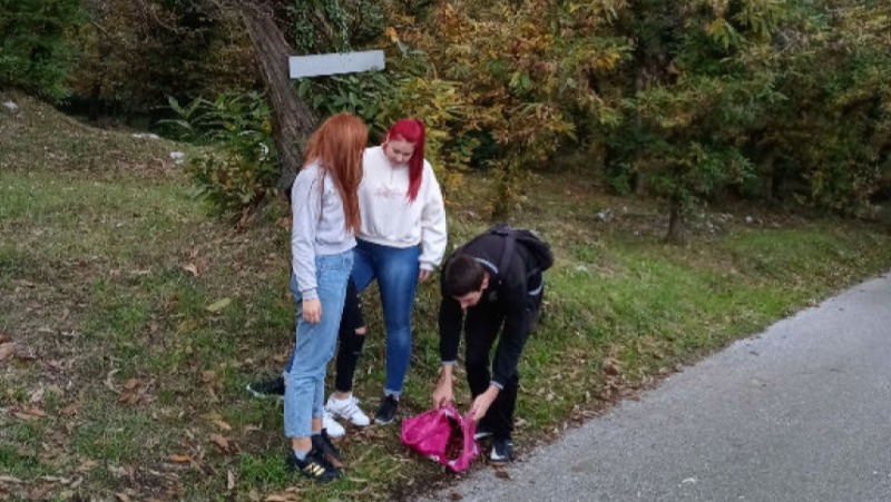 U šumi maruna u Dobreću