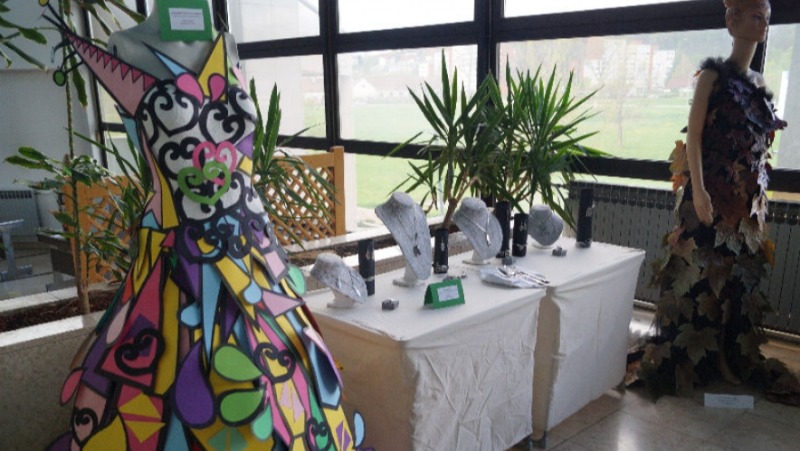 Na Državnoj domijadi u Rovinju postigli odlične rezultate