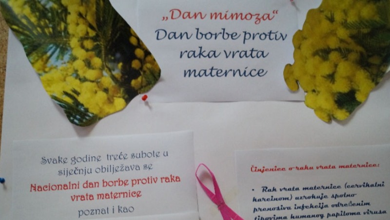 Obilježen "Dan mimoza"